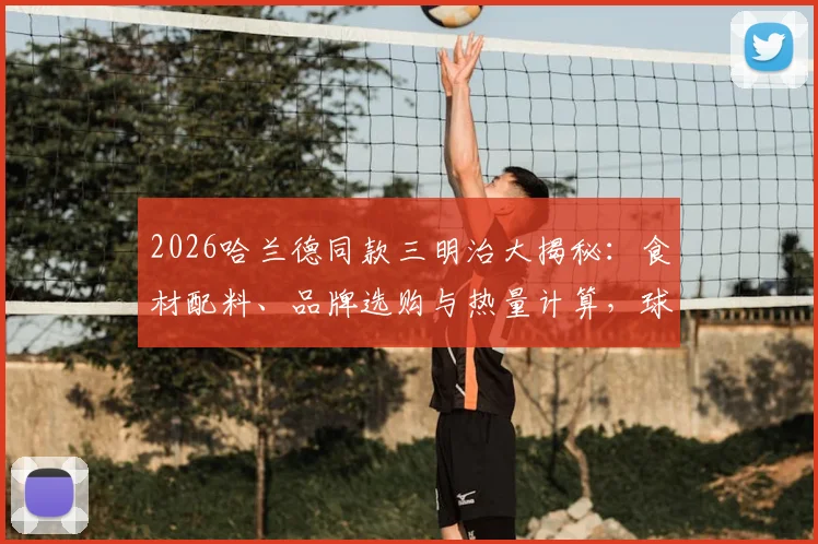 2026哈兰德同款三明治大揭秘：食材配料、品牌选购与热量计算，球星赛后能量补充方案一网打尽